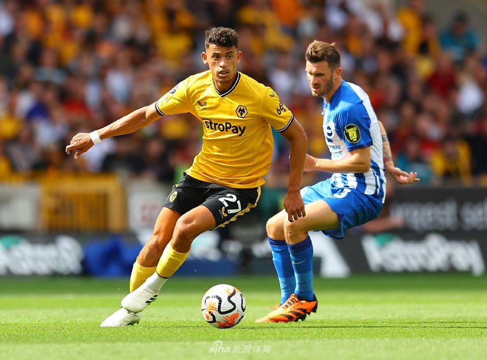 日本球员的 日本球员的